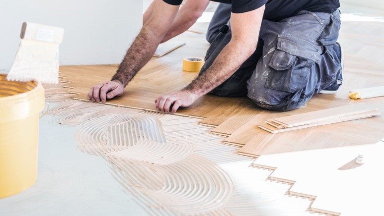 Hogy nem haltak még ki a lajhárok?